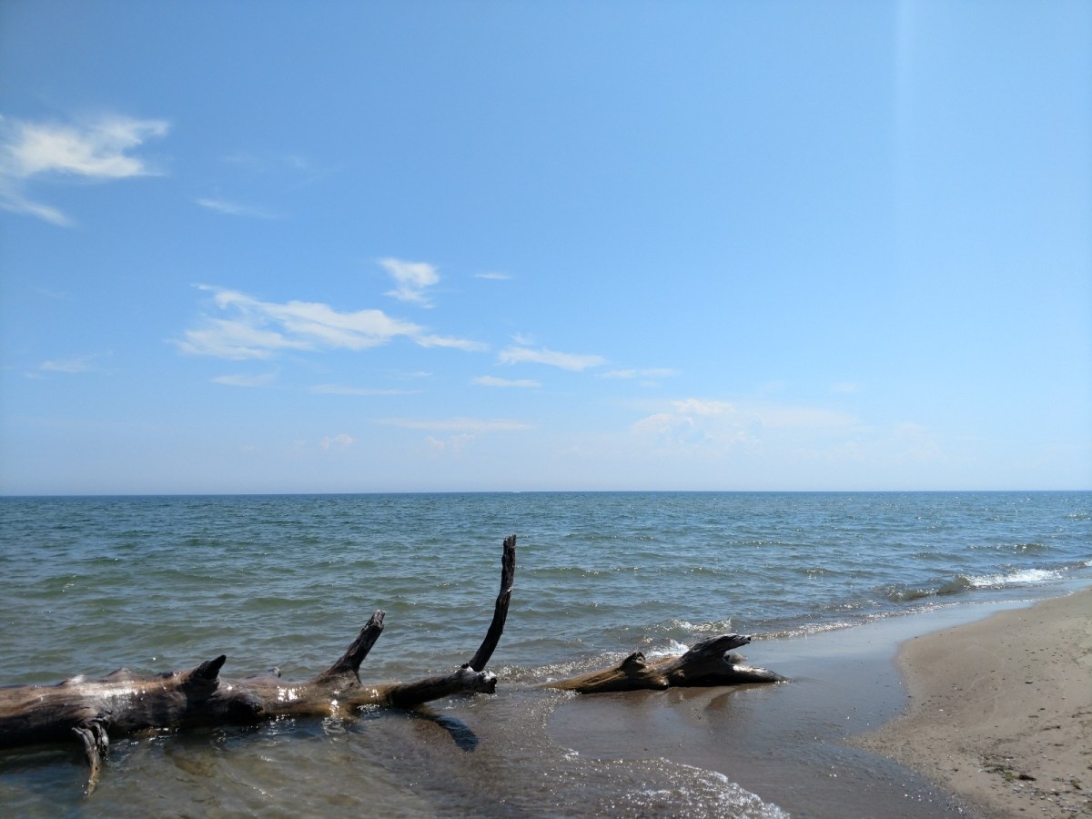 Brief Review: Song for the Unraveling of the World by Brian&nbsp;Evenson